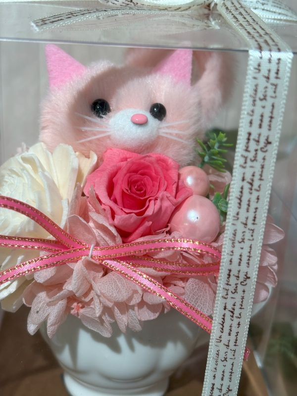 ネコプリザーブド